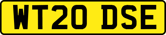 WT20DSE