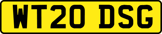 WT20DSG