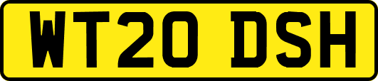 WT20DSH