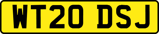 WT20DSJ