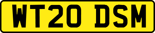WT20DSM