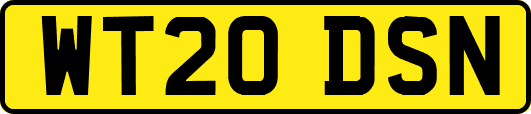 WT20DSN