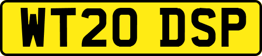 WT20DSP