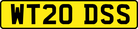 WT20DSS