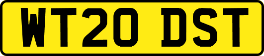 WT20DST