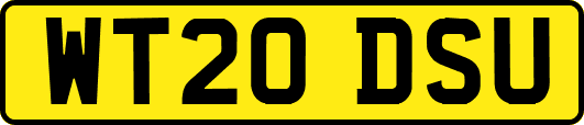 WT20DSU