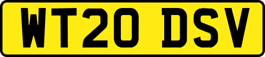 WT20DSV