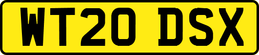 WT20DSX