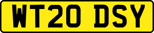 WT20DSY