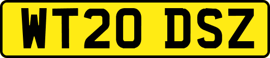 WT20DSZ