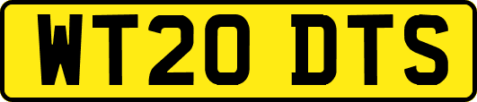 WT20DTS