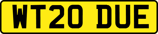 WT20DUE