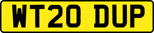 WT20DUP