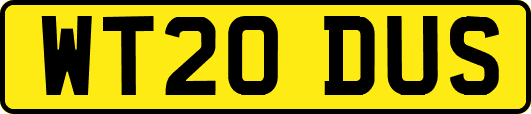 WT20DUS