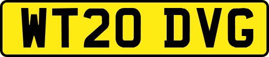 WT20DVG