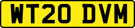 WT20DVM