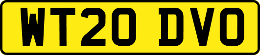 WT20DVO