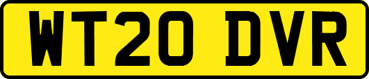 WT20DVR
