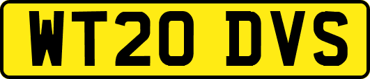 WT20DVS