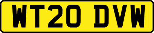 WT20DVW