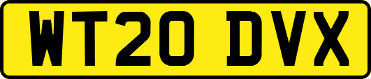 WT20DVX
