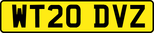 WT20DVZ