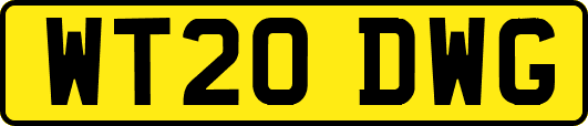 WT20DWG