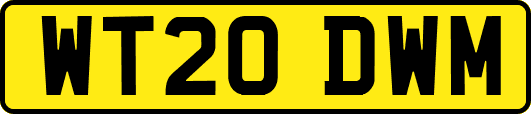 WT20DWM