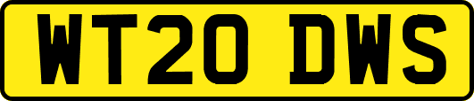 WT20DWS