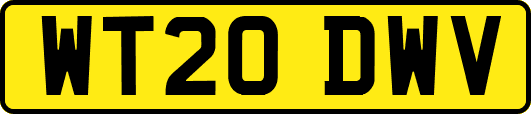 WT20DWV