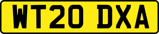 WT20DXA