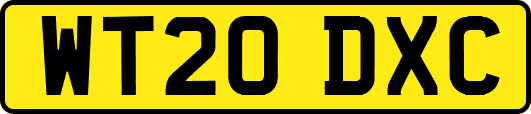 WT20DXC