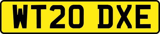 WT20DXE