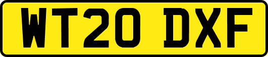 WT20DXF