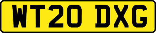 WT20DXG
