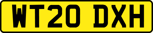 WT20DXH
