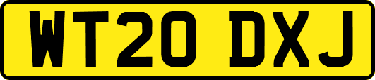 WT20DXJ