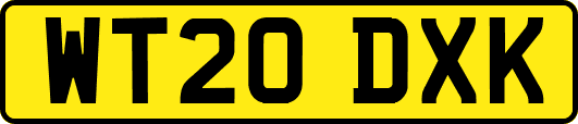 WT20DXK