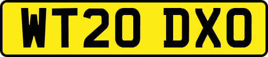 WT20DXO