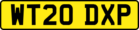 WT20DXP