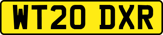 WT20DXR