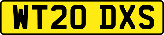WT20DXS