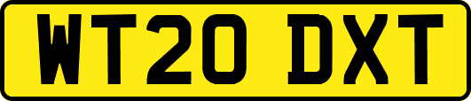 WT20DXT