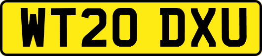 WT20DXU