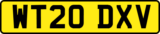 WT20DXV