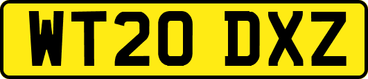 WT20DXZ