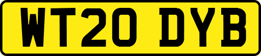 WT20DYB