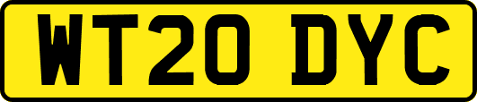 WT20DYC