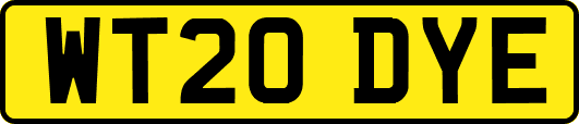 WT20DYE