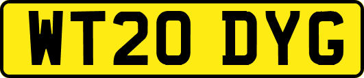 WT20DYG